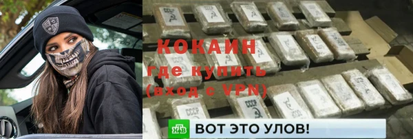 дурь Бронницы