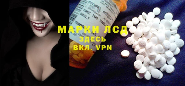 ECSTASY Бородино