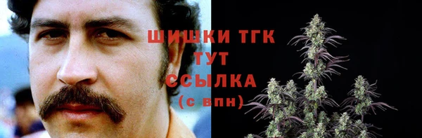 ECSTASY Бородино