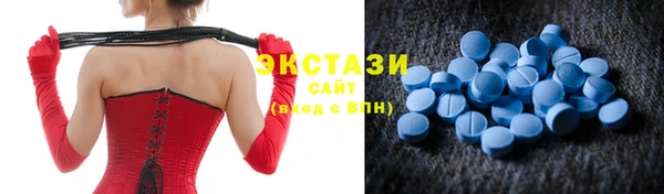 ECSTASY Бородино