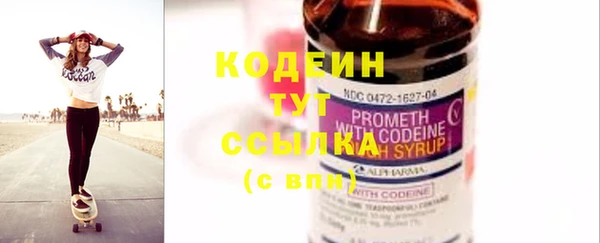 ECSTASY Бородино