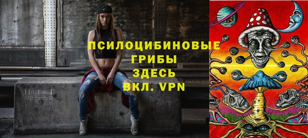 дурь Бронницы