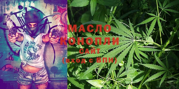 ECSTASY Бородино
