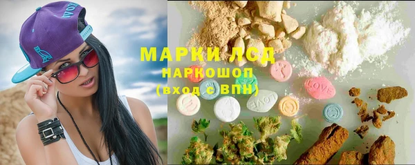 ECSTASY Бородино