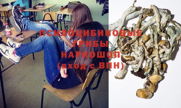 ECSTASY Бородино