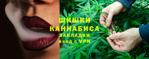 дурь Бронницы