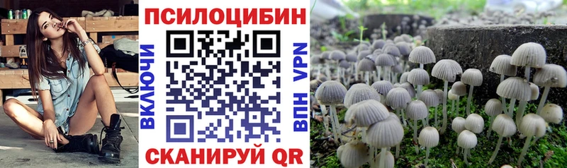 Галлюциногенные грибы мухоморы  Купить  Новодвинск 