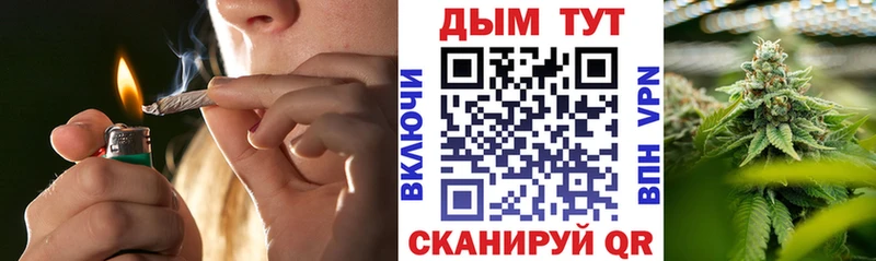 Бошки Шишки SATIVA & INDICA Новодвинск